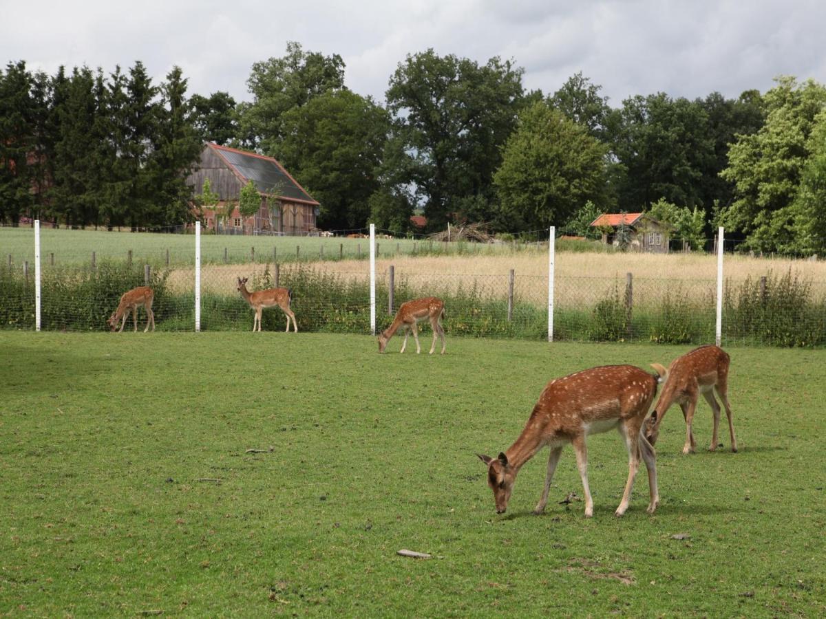 Gaeste Und Ferienhof Maas Dülmen Zewnętrze zdjęcie